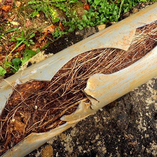 Same Day Drain Sewer & Rooter Pros Across Wolfeboro